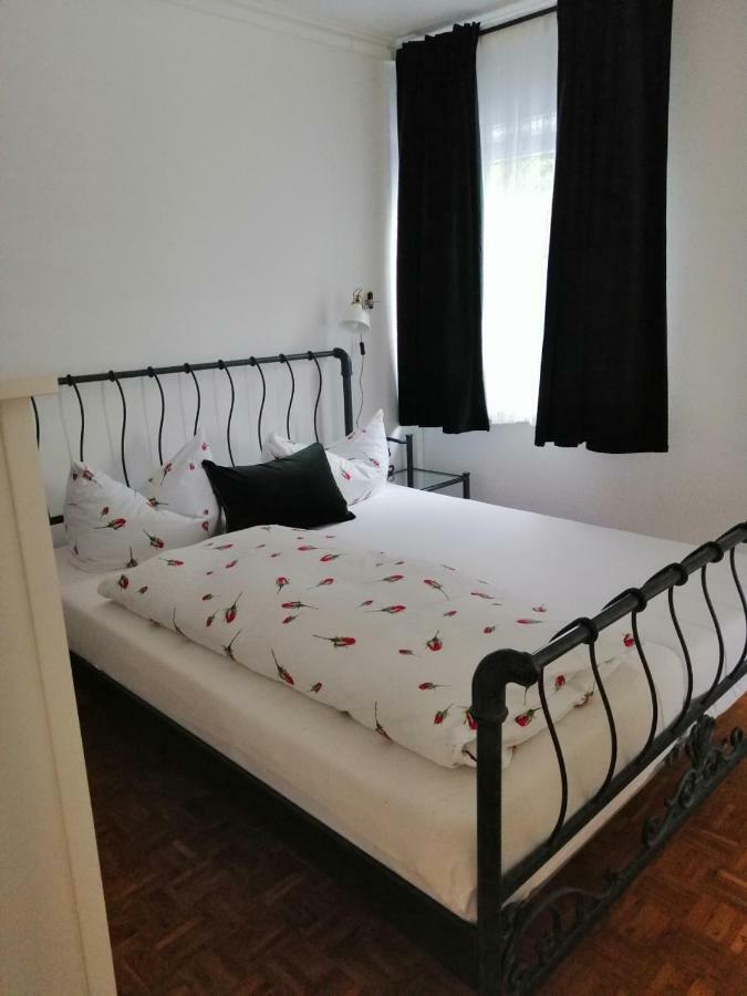Apartment Froschkoenig Gladenbach Dış mekan fotoğraf